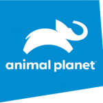Animal Planet [Discovery Networks]