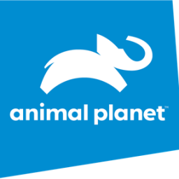 animalplanet