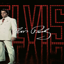elvis