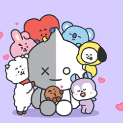 BT21 [360BR]